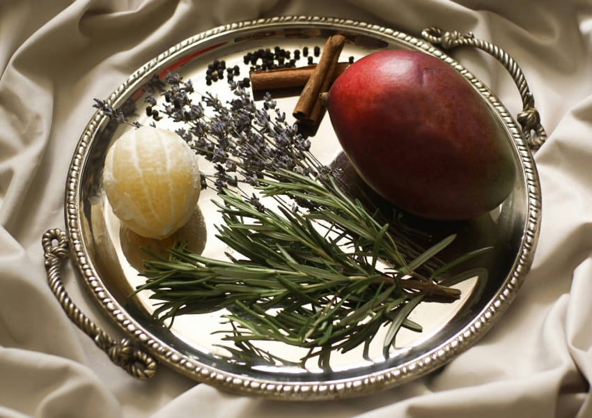Herbs, spices and fruit representing terpene aromas