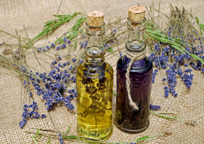 Lavender oils representing aromatic terpenes