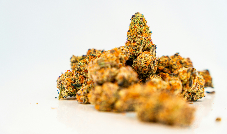 Close-up of orange cannabis buds on white background