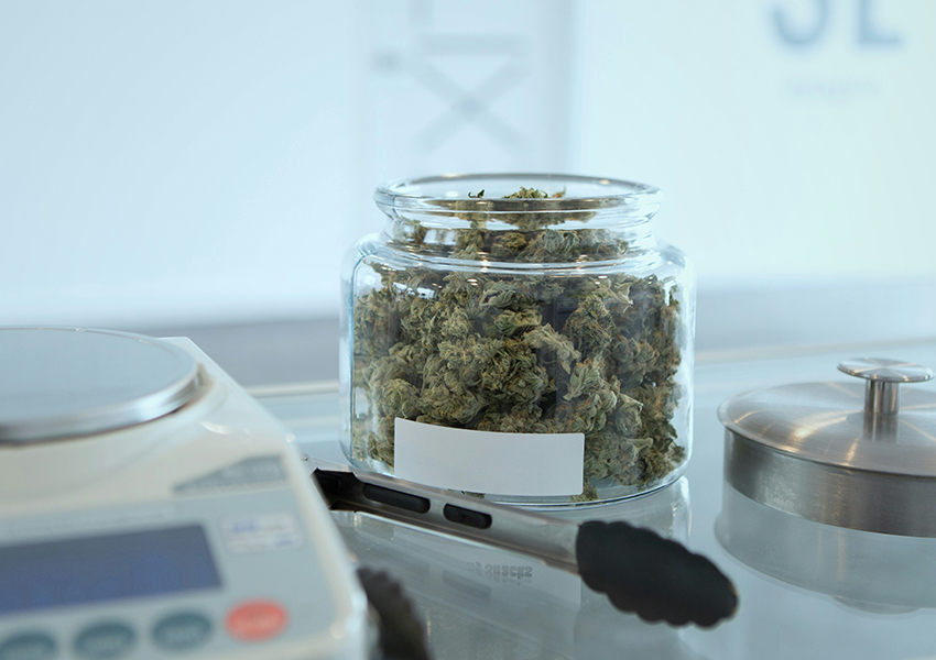 Cannabis flower buds stored in a glass dispensary jar beside tongs and a scale