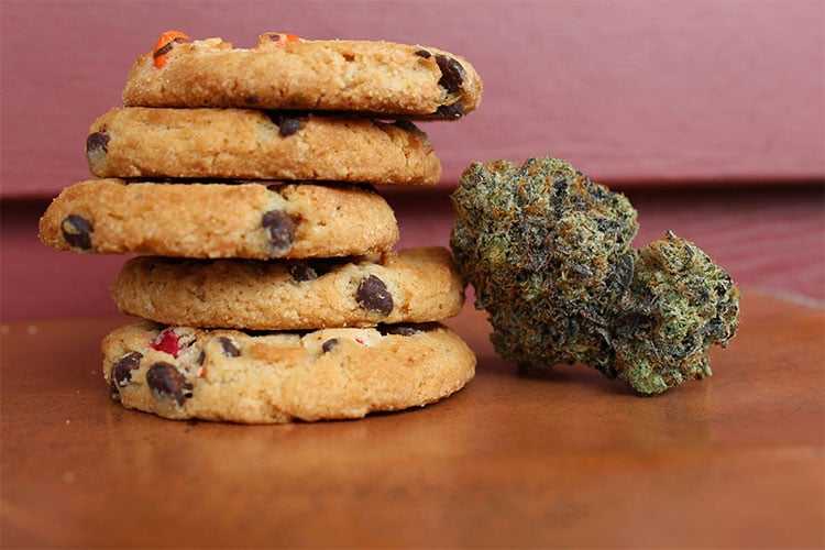 Cannabis Chocolate Chip Cookie