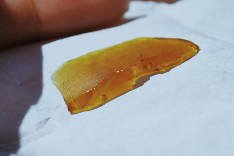 Cannabis shatter concentrate on parchment paper