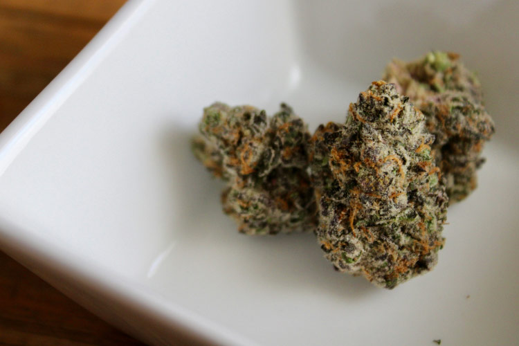 Frosty cannabis buds in white ceramic dish