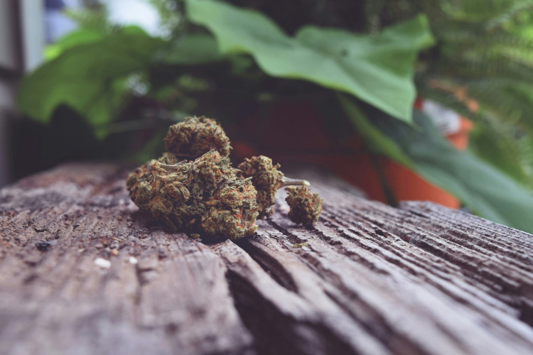 Potential Strawberry Cough Strain Effects