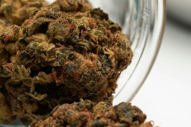 Super Boof Strain Effects