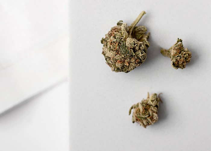 Close-up of marijuana buds on a white surface