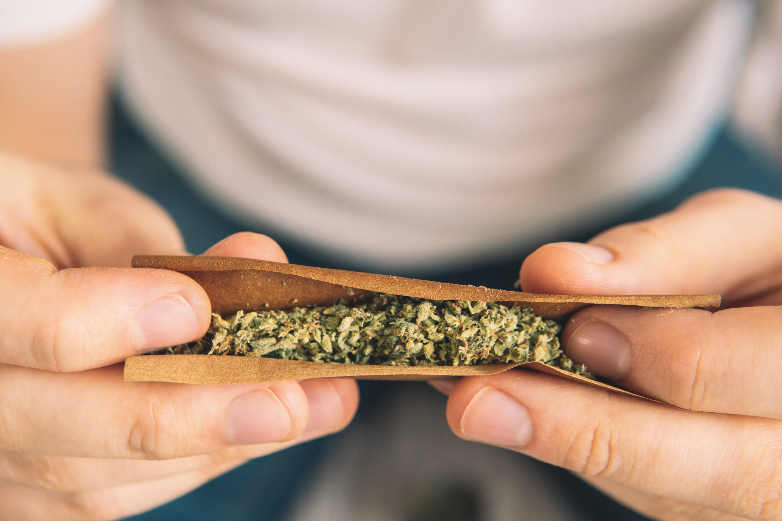 Hands rolling a blunt with tobacco paper and cannabis