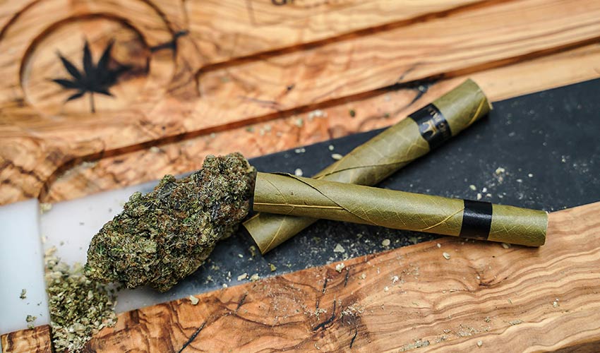 Cannabis buds and two rolled blunts on wooden surface