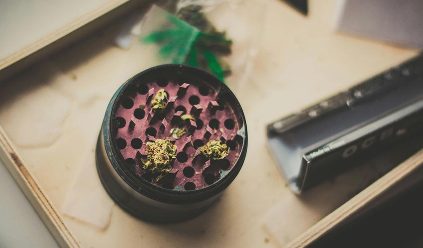Close-up of cannabis inside a grinder