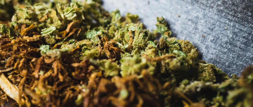 Close-up of finely crushed weed