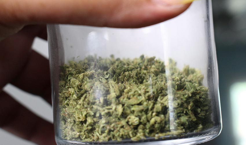 Green kush cannabis in a clear glass container