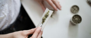 Person making cannabis joint