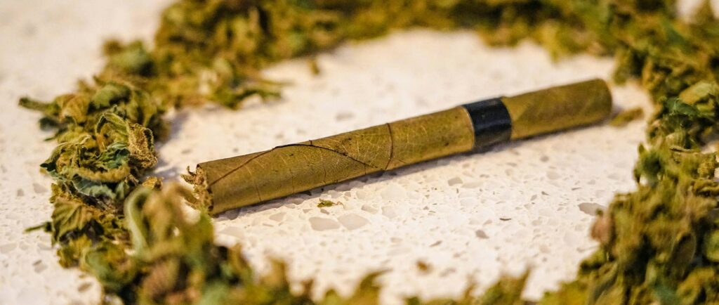 Rolled Blunt on surface with cannabis arranged in a circle