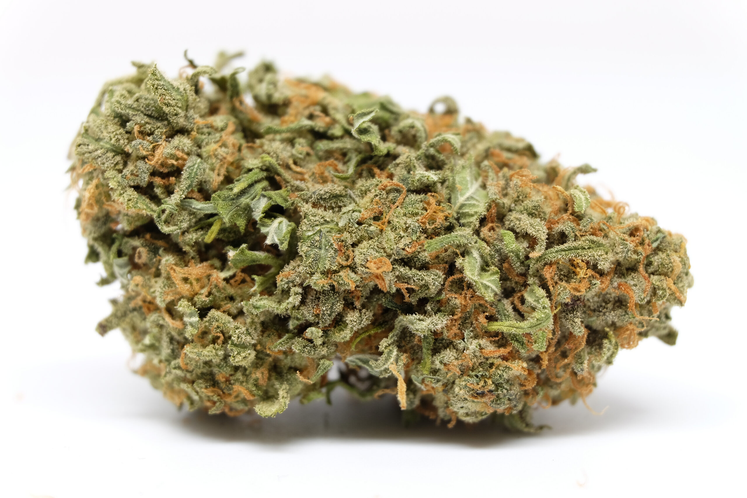 Cannabis nug on white background