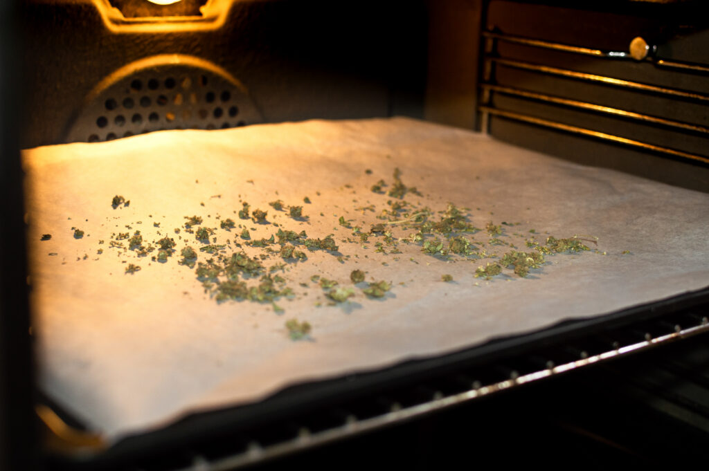 Cannabis flower drying on baking tray in oven