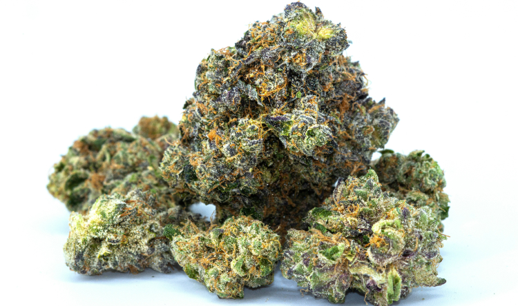 Close-up of cannabis buds with orange hairs